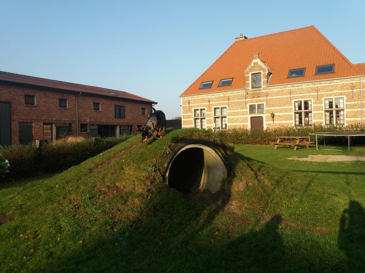 B&B Euverbraeke Beveren Kültér fotó